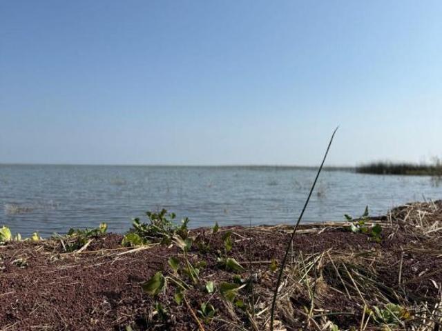 Venta de terreno frente al lago en fraccionamiento Lago Luna en Tuxcueca Jalisco