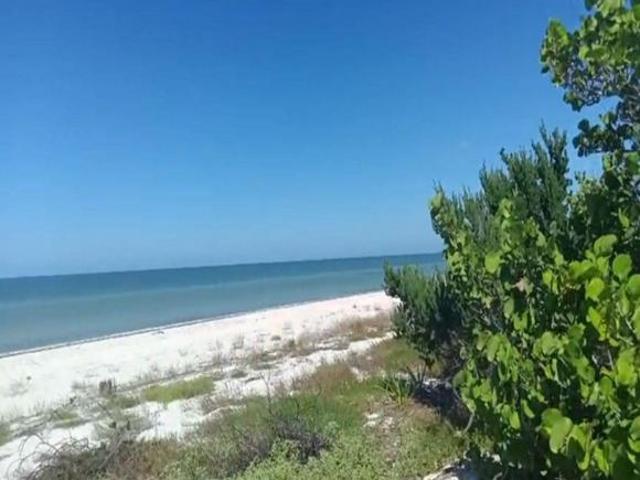 VENTA DE TERRENO FRENTE AL MAR EN CELESTUN F 2810, 37 M. x 120 DE FONDO $10,360,000 M.N