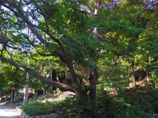 VENTA DE TERRENO LA NORIA