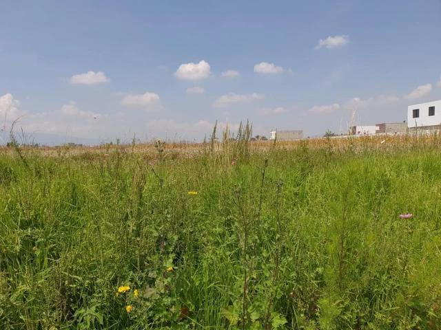 VENTA DE TERRENO PARA DESARROLLADORES EN SAN MATEO ATENCO