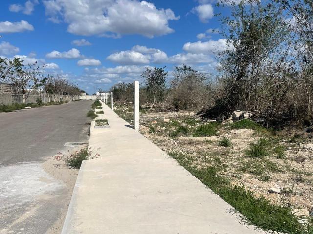 Venta de Terreno para Inversi?n en Dzitya de 473 m2
