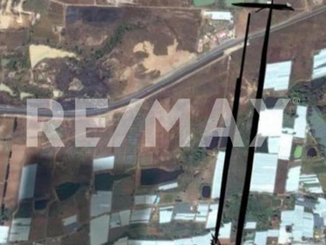 Venta de Terreno para Siembra de Flor, Bodegas o Comercio en Villa Guerrero, Estado de México 4