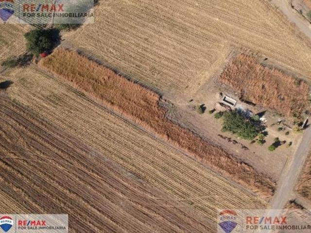 Venta de terreno plano en Atlatlahucan, Morelos…Clave 5334