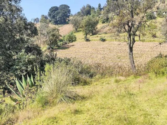Venta de Terreno Residencial en Temoaya, Solalpan 1ra. Sección