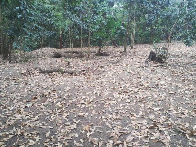 Venta de Terreno Rio Atongo Tepoztlan Morelos $ 16,155,000.00
