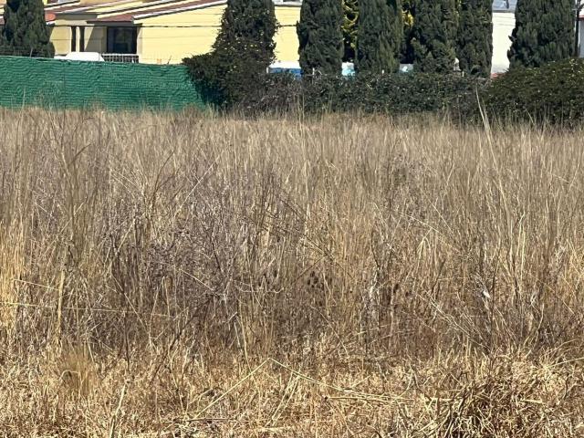 VENTA DE TERRENO SOBRE BOULEVARD ADOLFO L?PEZA MATEOS EN METEPEC
