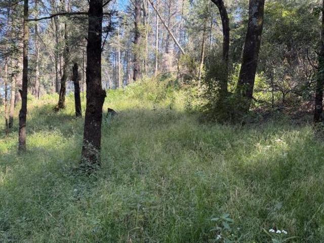 Venta de terreno sobre carretera, Santa Maria Mazatla