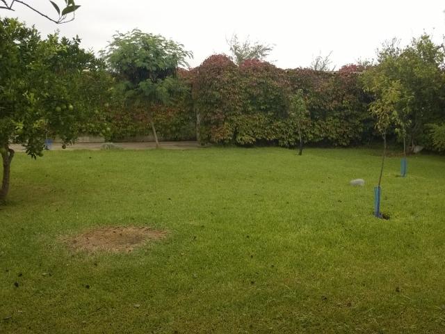 VENTA DE TERRENO URBANIZABLE
