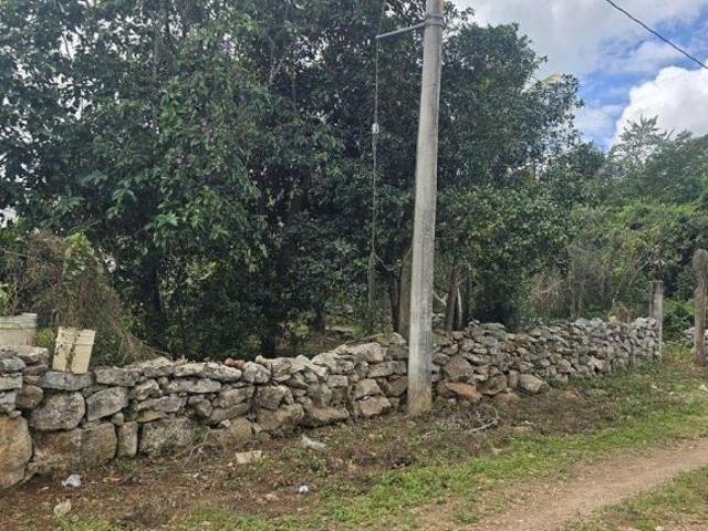 Venta de Terreno, Xocen, Valladolid, Yucatan