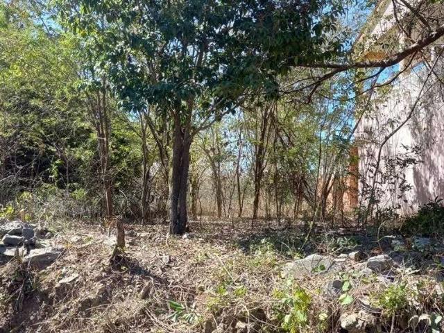 Venta de terreno 140 m2 el capire zihuatanejo