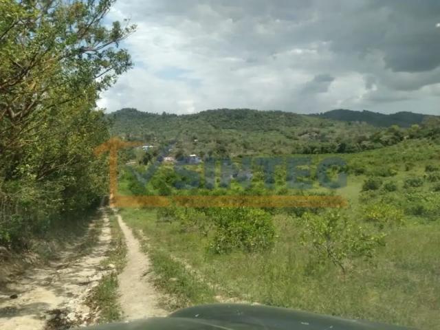 VENTA DE TERRENO 18 HECTAREAS COL. ESCOLIN, PAPANTLA