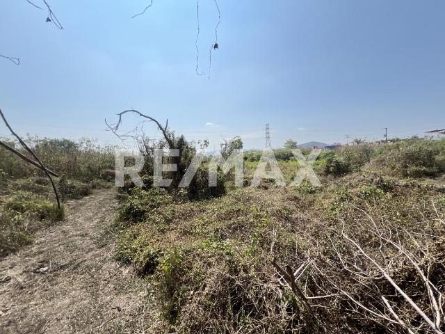Venta de terreno 31,830 m2 en la Col. Dr. G. Parres, Jiutepec, Morelos. Clave 6242