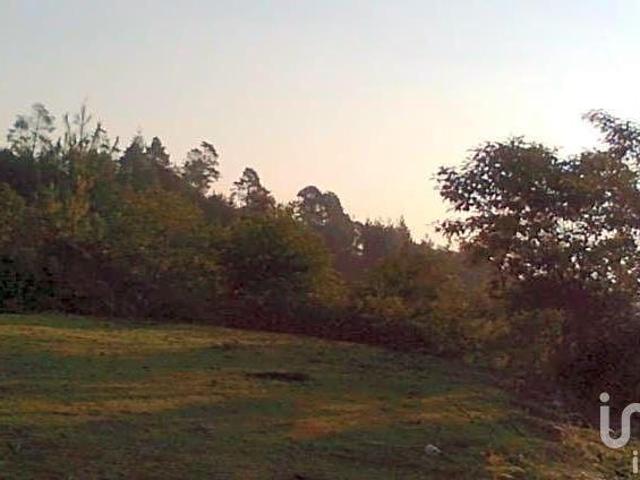 Venta de Terreno