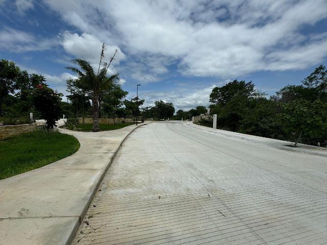 VENTA DE TERRENO, 566 M2, PRIVADA PROVICIA CON AMENIDADES EN SAN IGNACIO TESIP, AL NORTE DE M?RIDA