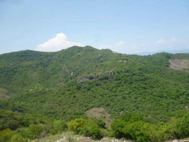 Venta de Terreno 800 ha en Jolalpan, Puebla