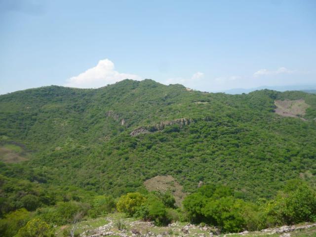 Venta de Terreno 800 ha en Jolalpan, Puebla
