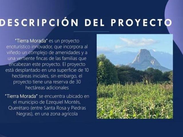 Venta de Terrenos con Corredor Vinícola en Bernal