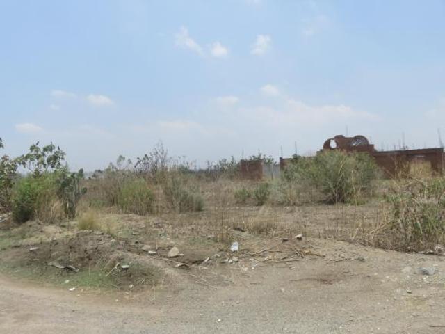 VENTA DE TERRENOS FRACC. BRISAS DE ROMITA, ROMITA GUANAJUATO