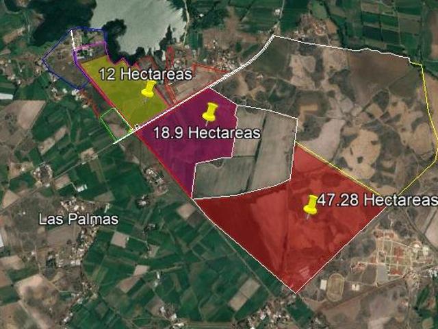 VENTA DE TERRENOS R?STICOS AUN COSTADO DE LAS PALMAS