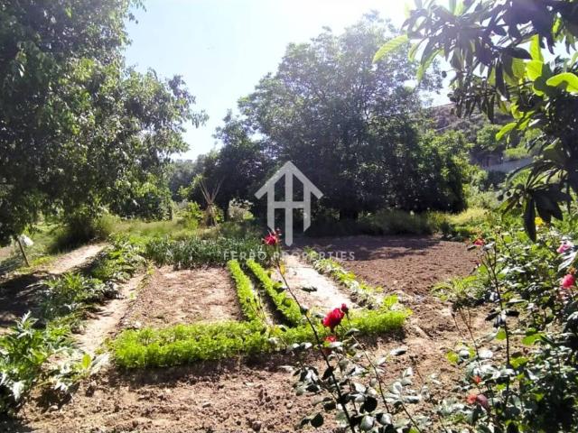 Venta de una masía en Loja