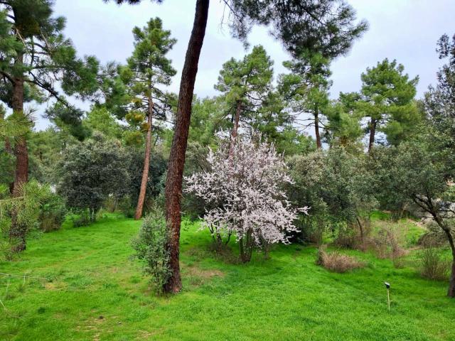 Venta de villa en Pinar Jardín