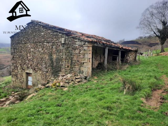 VENTA DE CABAÑA PAREADA Y FINCA EN PISUEÑA SELAYA