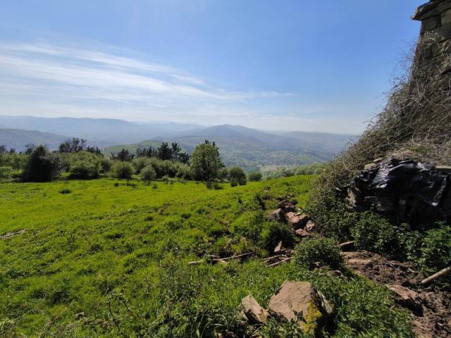 Venta de cabañas