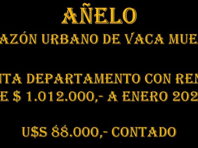 Venta de Departamento 2 ambientes en Añelo