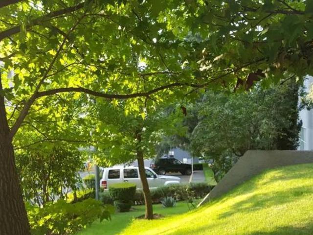Venta de Departamento con Vista al Bosque en Álvaro Obregón, Ciudad de México
