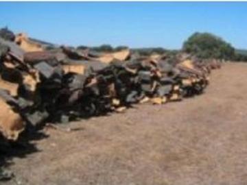 Venta de dos fincas en Ciudad Real y Badajoz