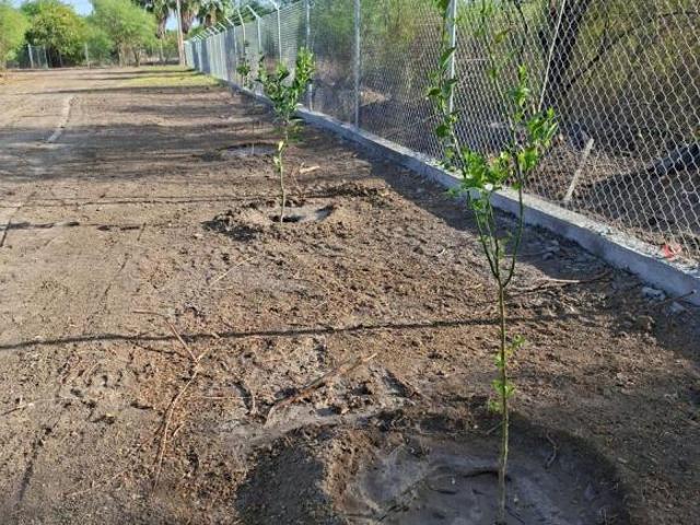 Venta de dos terrenos en el Fracc Las Carolinas, Cadereyta Jimenez