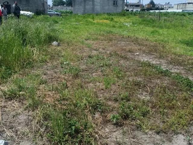 Venta de Dos Terrenos en Privada de Francisco I. Madero, San Mateo Atenco, Méx
