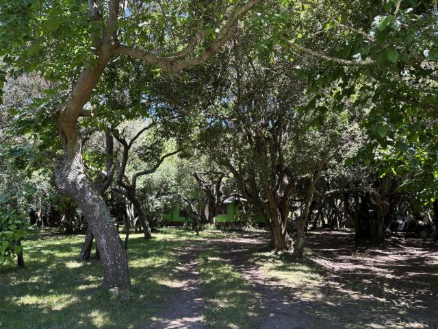 Venta de espectacular Casa 2 ambientes en Punta Indio