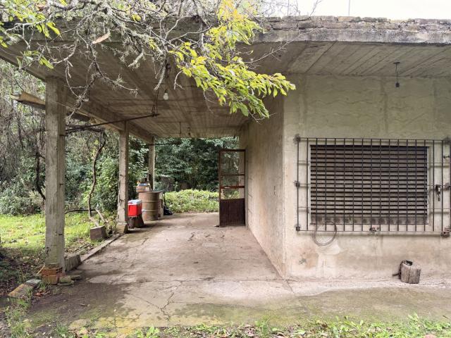 Venta de espectacular Casa 3 ambientes en Chascomús Chascomús