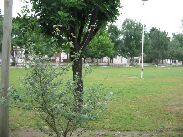 Venta de espectacular Departamento 5 o mas ambientes en Nogoyá