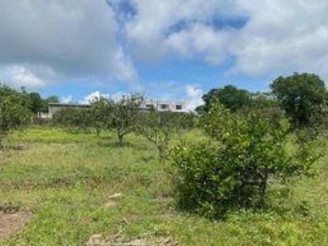 Venta de Finca en El Chico