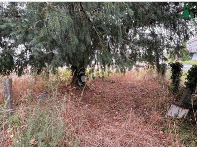 Venta de Finca Rústica de 9.857 m² Oportunidad de Inversión