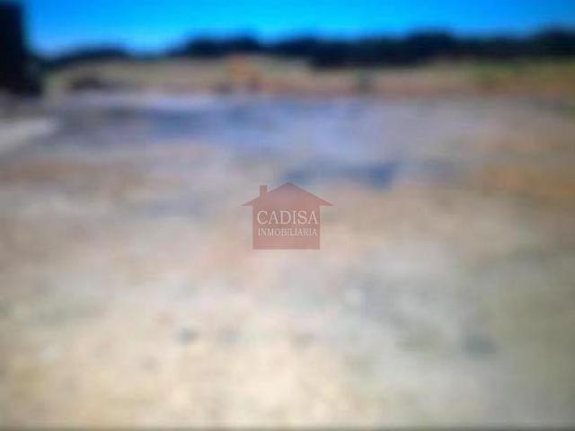 VENTA DE FINCA RÚSTICA EN ALDEASECA DE LA ARMUÑA.REF:0127