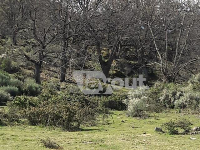 Venta de finca rústica en Valencia de Alcántara