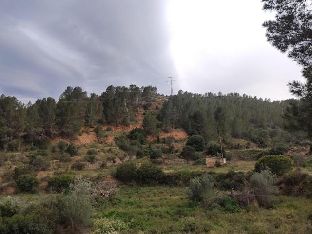 Venta de finca rústica en Xerta