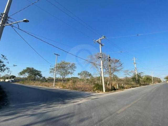 Venta de gran terreno Rumbo a progreso ideal para desarrollo inmobiliario