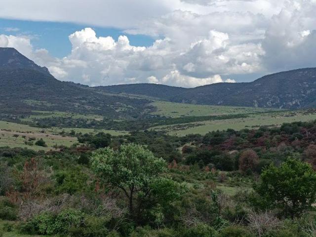 Venta de Hect?reas en San Jos? Iturbide