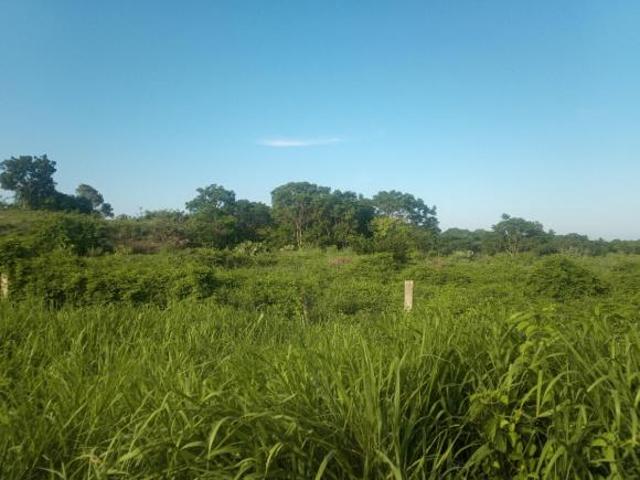 VENTA DE HECTAREAS EN CARRETERA VERACRUZ POZA RICA | ARLETTE FLORES
