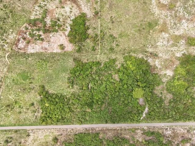 VENTA DE HECTAREAS EN EUAN YUCATÁN