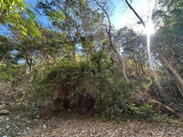 VENTA DE HECTAREAS EN MINATITLAN, COLIMA, COLIMA, MEXICO