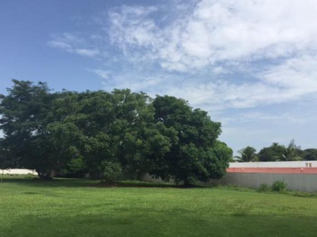 VENTA DE HECTÁREAS EN PLAYA DE VACAS | ARLETTE FLORES INMOBILIARIA