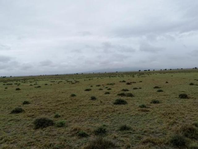 Venta de Hectareas Industriales en San Salvador El Seco Puebla