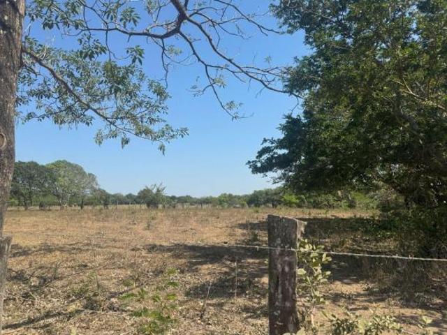 VENTA DE HECTAREAS / RENTA DE HECTAREAS EN MATA DE PITA, VER. PERFECTAS PARA INVERTIR O DESARROLLAR!