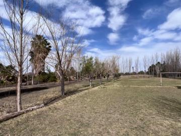 Venta De Importante Casa Quinta En Albardón, San Juan