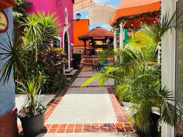 Venta de Local Comercial en el Centro de Canc?n
